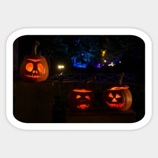 Halloween Pumpkins Sticker